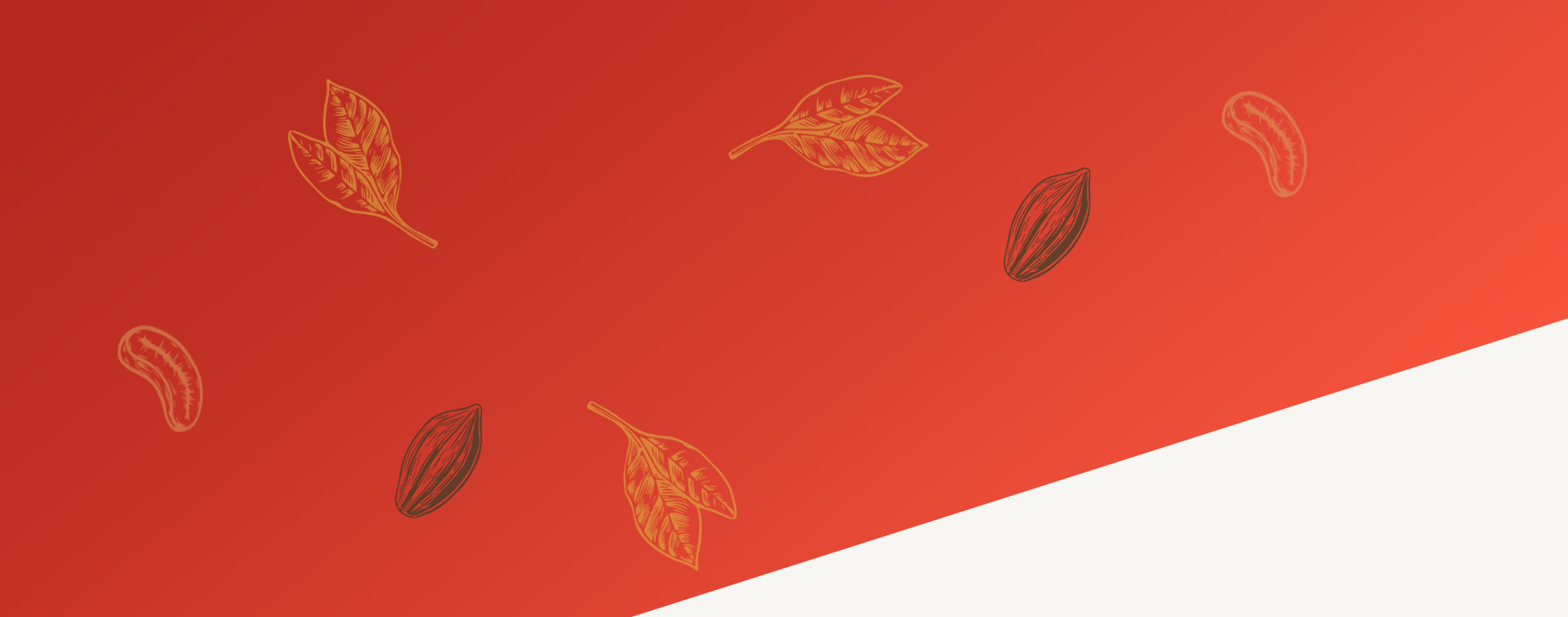 Aila Chocolate - Homepage Background
